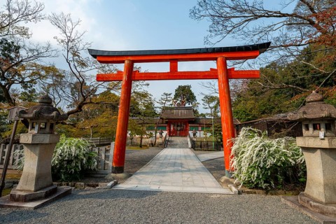 Torii Gate, Yamakage-Jinja Shrine, Shinto Shrine, Kyoto, Japan