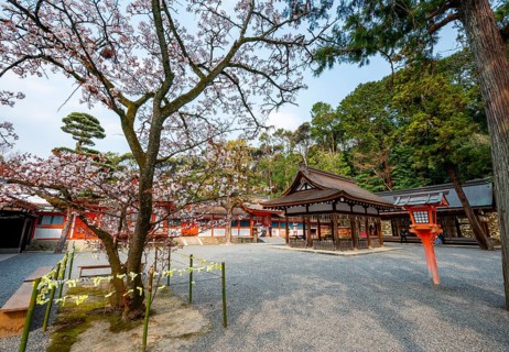 Kagura-den Hall and Sakado, Yoshida Shrine, Shinto Shrine, Kyoto, Japan