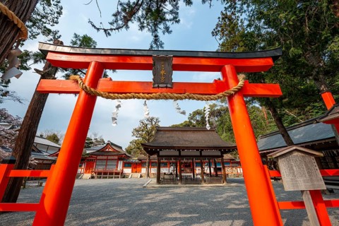 Entrance to the shrine with red torii gate, Kagura-den Hall, Yoshida Shrine, Shinto Shrine, Kyoto,
