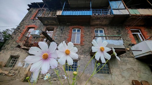 Close-up of white flowers in front of an old residential building with brick and wood, Armenia