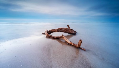 Long exposure, driftwood on sandbar on Baltic Sea beach in the evening, Darß west beach after
