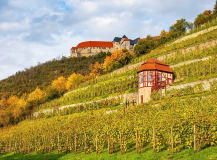 Ducal vineyard with vineyard house in autumn, Neuenburg Castle in the back, Freyburg an der