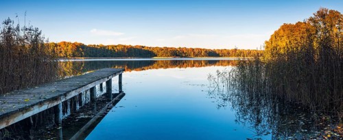 Panorama, footbridge in reeds, lake surrounded by forest in autumn, Großer Krienertsee,