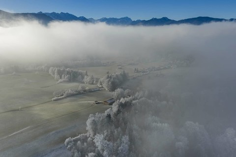 Winter landscape, fog, high fog, mountain landscape, hoarfrost, cold, trees, forest, winter, sunny,