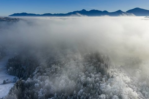 Winter landscape, fog, high fog, mountain landscape, back light, hoarfrost, cold, trees, forest,