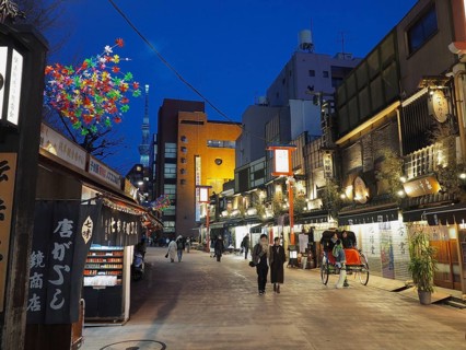Bustling street scene in the evening with illuminated shops and passers-by, Nishi-Asakusa, Tokyo,