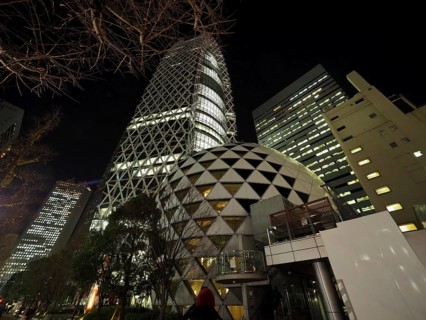 Modern skyscrapers illuminated at night in an urban setting, Shinjuku, Tokyo, Japan