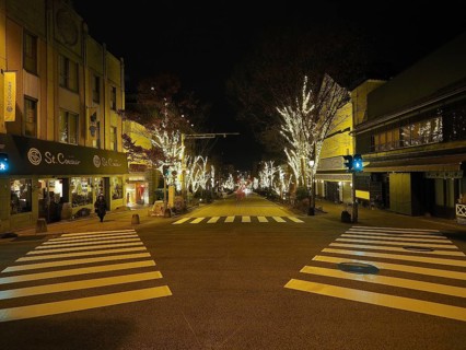 Illuminated trees line a city street at night, a quiet urban scene, Chuo-dori street, Nagano, Japan