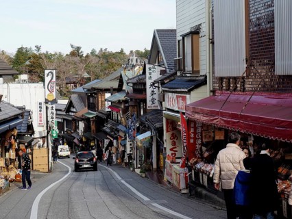 Busy street with traditional shops and pedestrians, Densha-michi street, Narita, Japan