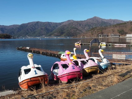 Several swan shaped paddleboats on a calm lake with mountains in the background, Lake Kawaguchiko,