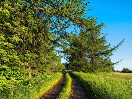 Hiking trail on the edge of the forest through typical landscape in the Rhön Biosphere Reserve,