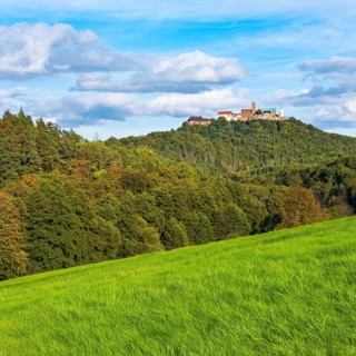 View across a green meadow to Wartburg Castle in the Thuringian Forest, Eisenach, Thuringia,