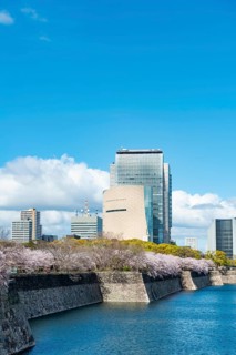 Skyscrapers and cherry blossoms on the moat with water at Osaka Castle, Chuo-ku, Osaka, Japan