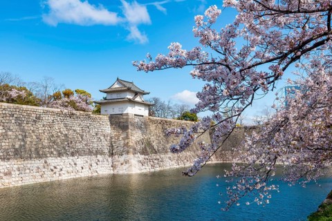 Watch tower at Osaka Castle Wall, blooming cherry trees in a moat park with water, Chuo-ku, Osaka,