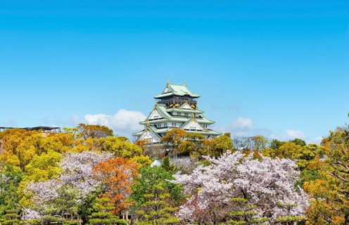 Osaka castle with blooming cherry trees in the park, Osaka Castle Park, Chuo-ku, Osaka, Japan