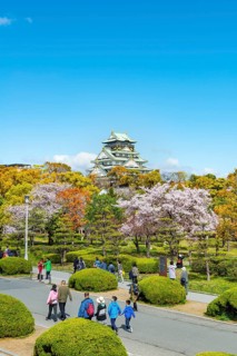 Osaka castle with blooming cherry trees in the park, visitors on a path through Osaka Castle Park,