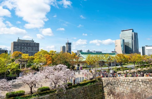 Osaka Castle Wall and Osaka Castle Park with cherry blossoms, skyscrapers, Chuo-ku, Osaka, Japan