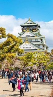 Osaka castle among trees in the park, visitors in Osaka Castle Park, Chuo-ku, Osaka, Japan