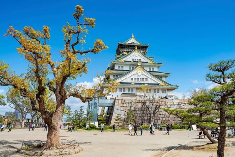 Osaka castle among trees in the park, visitors in Osaka Castle Park, Chuo-ku, Osaka, Japan