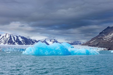 Ice floe floating in front of Idabreen, Ida glacier calving into Liefdefjorden at Idabukta bay,
