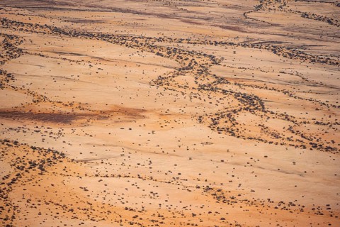 Detailed aerial view of a dry desert with distinctive soil patterns, Spitzkoppe, Namibia