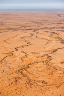 Aerial view of a vast, dry desert with distinctive soil patterns, Spitzkoppe, Namibia