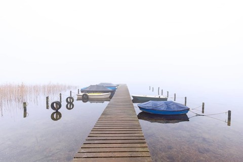 Rowing boats / rowboats moored to wooden jetty at Lake Ratzeburg / Ratzeburger See in mist,