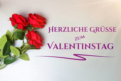Valentine greetings: roses and text HAPPY VALENTINE'S DAY on a light grey background