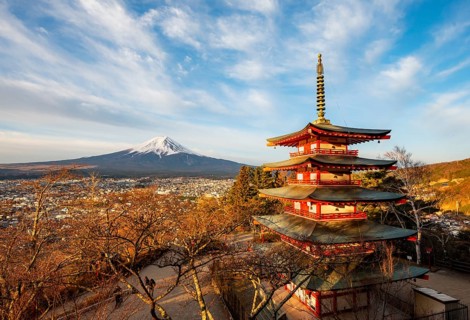 Five-story pagoda of a Shinto shrine in morning light, Chureito Pagoda, with views of Fujiyoshida