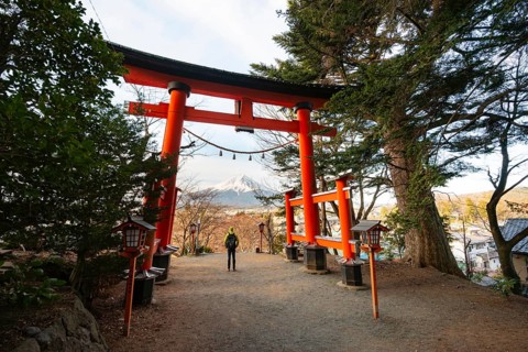 Tourist standing under red torii overlooking Mount Fuji volcano, Arakura Fuji Sengen Shrine,