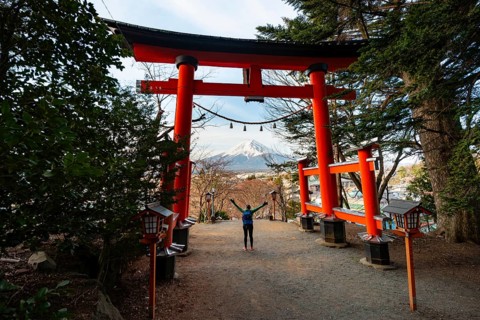 Tourist stretches her arms in the air, stands under red torii with a view of Mount Fuji volcano,