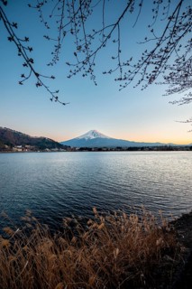 Lake Kawaguchi, view of Mount Fuji volcano at sunset, Yamanashi Prefecture, Japan