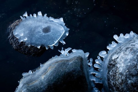 Ice-clad stones in water form unique, abstract shapes, winter, Korpoström, Korpo or Korppo,