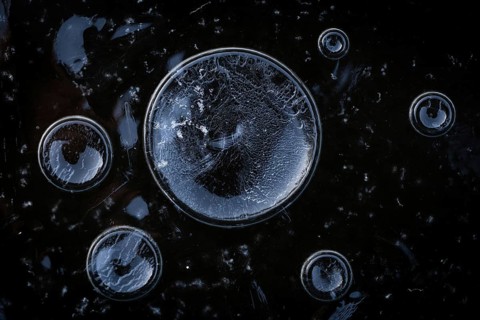 Abstract circular structures formed by air bubbles in the ice against a dark background,