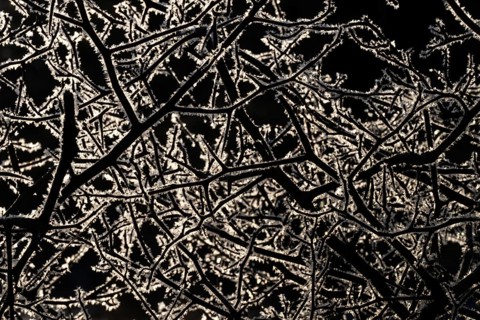 Branched branches covered with ice crystals against a dark background, Korpoström, Korpo or Korppo,
