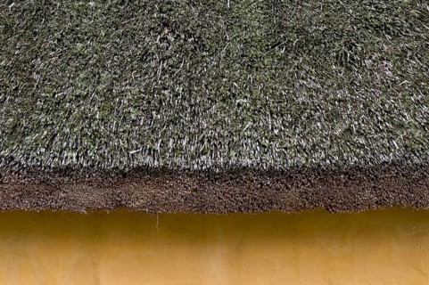 Thatched roof, reconstructed courtyard with nine houses built by a large farmer from the Viking