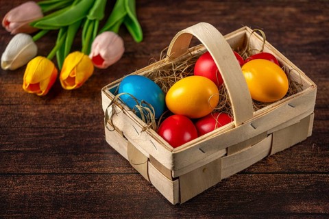 Colorful Easter eggs in a basket next to colorful tulips on a wooden background