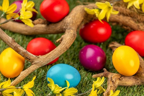 Colourful Easter eggs lay on grass surrounded by blooming branches and yellow flowers