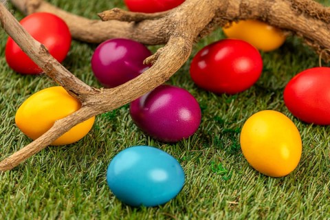 Colourful easter eggs and natural branches on green grass