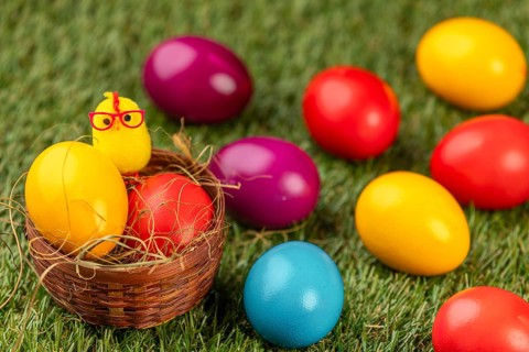 Colourful easter eggs and a chick figure on green grass