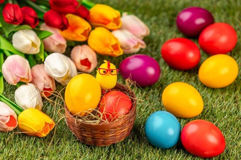 Colourful Easter eggs and a chick figure in a nest next to colorful tulips