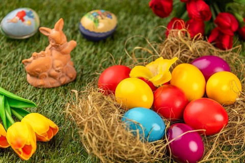 Colourful easter eggs and an Easter bunny with spring flowers on grass