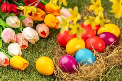 Colorful Easter eggs in a nest with surrounding tulips and spring flowers