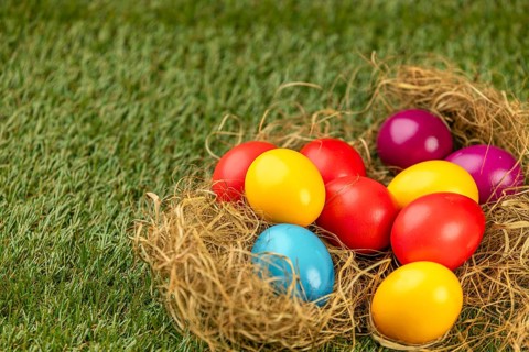Colorful Easter eggs in a straw nest on green grass
