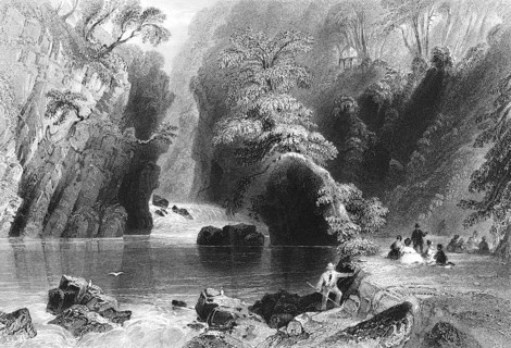 Picnic in greenery on the Dargle River, County Wicklow, Ireland, peaceful atmosphere, idyllic