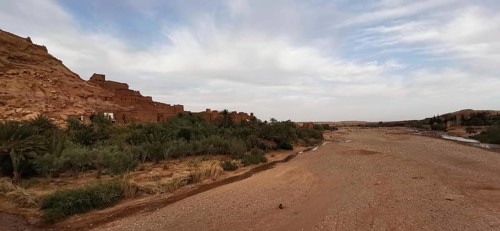 Arid desert landscape with oasis flair and an empty riverbed under a cloudy sky, Morocco