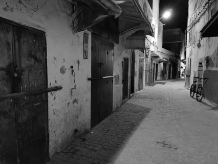 Nocturnal alley with a bicycle and closed doors in an urban setting, monochrome, old town of