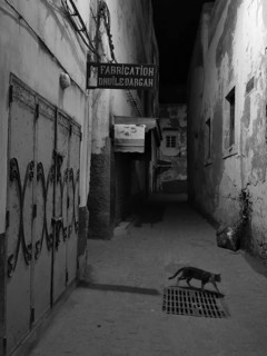 Narrow alley at night with a passing cat and old buildings, monochrome, old town of Essaouira,