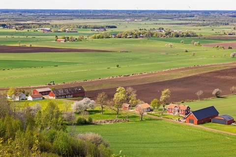 Rural farmland landscape with green fields, red farm houses, barns, dirt roads, and scattered trees