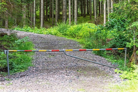 Road barrier gate blocking a gravel forest road surrounded by dense green coniferous trees in the